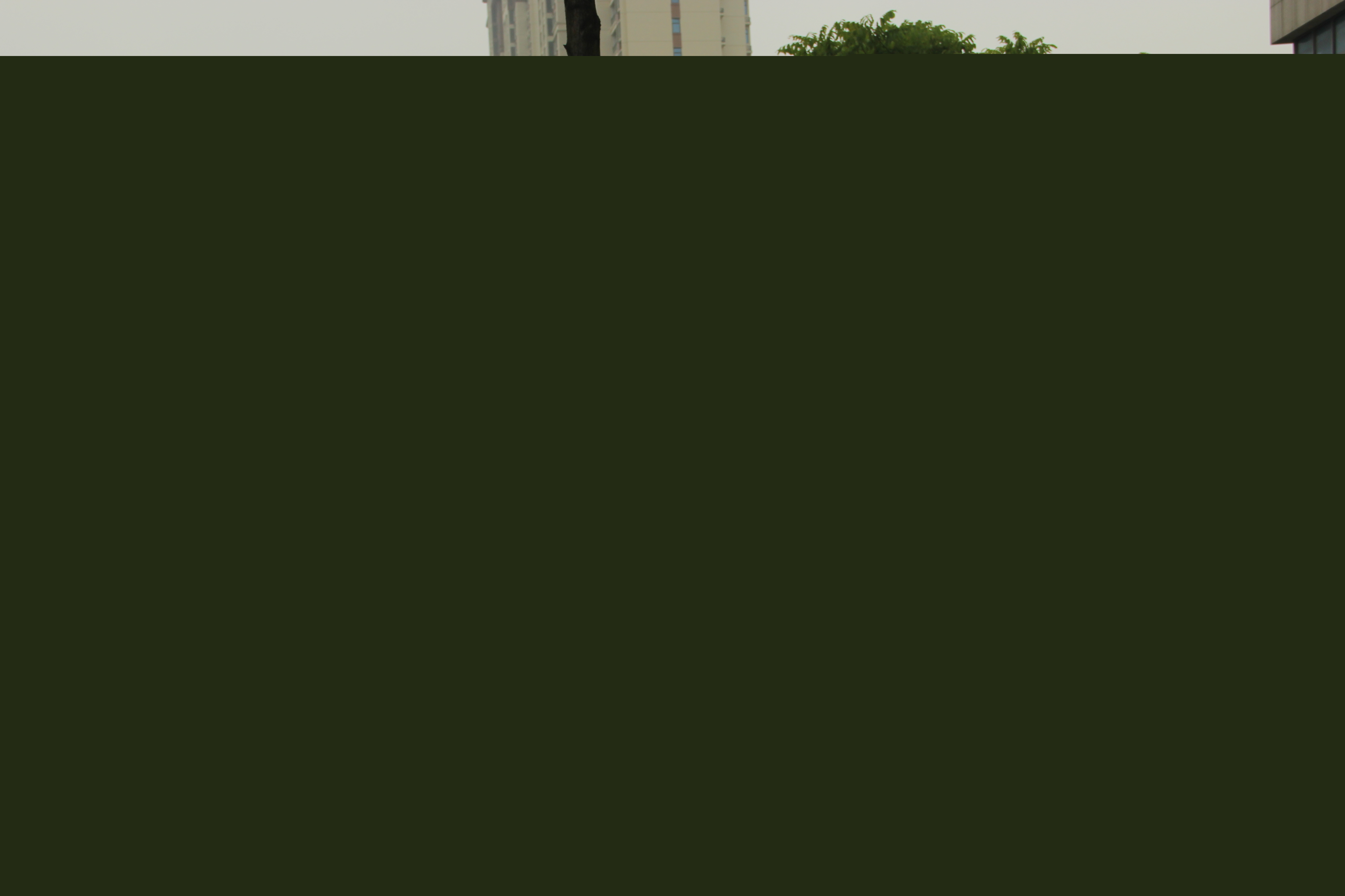 內(nèi)三科.JPG