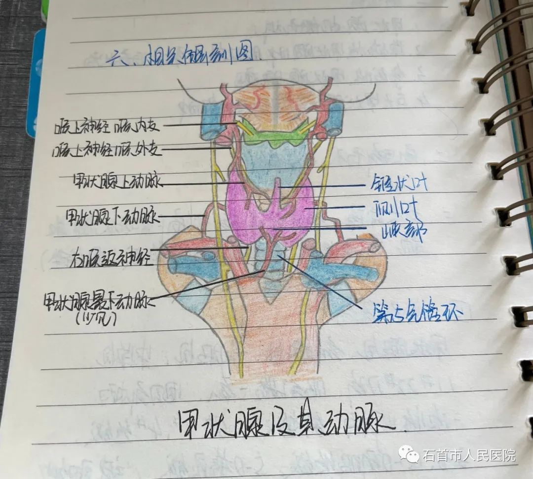 微信圖片_20220611090807.jpg