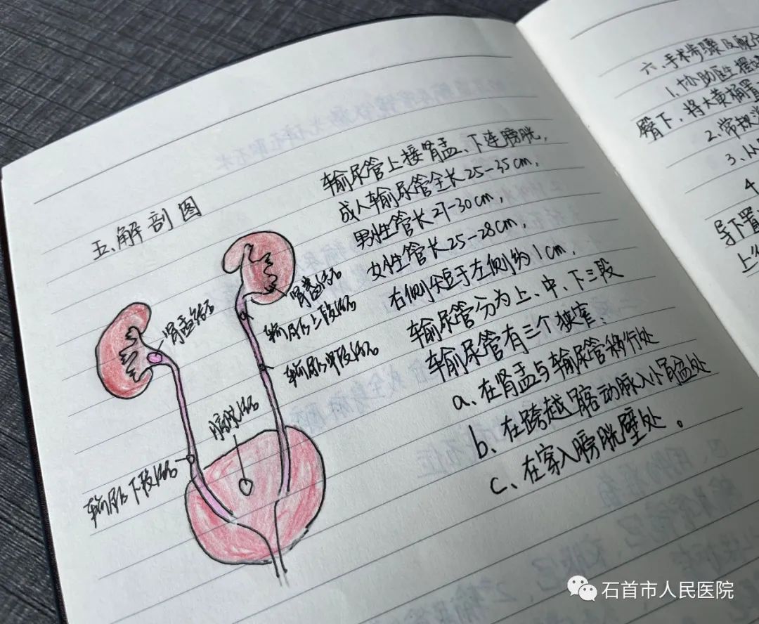 “學(xué)霸”筆記，沒(méi)錯(cuò)啦！